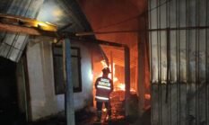 Usir Nyamuk, Rumah dan Kandang di Sendang Ludes Terbakar