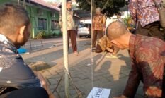 Tentukan Arah Kiblat Lewat Rashdul Kiblat, Kemenag Tulungagung: Momen Tepat Kalibrasi Musala dan Masjid