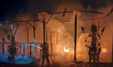 3.000 Ayam Petelur Ludes Terbakar, Kerugian Ditaksir Rp 400 Juta