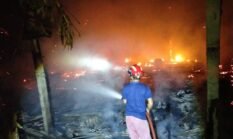 7.000 Ayam Mati Terpanggang, Kandang di Gondang Ludes