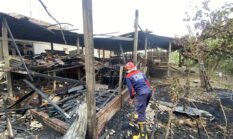 Bakar Sampah Ditinggal Pergi, Kandang dan Tumpukan Kayu di Ngunut Dilalap Api